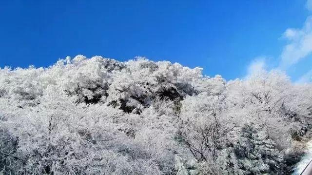 沪江开心词场