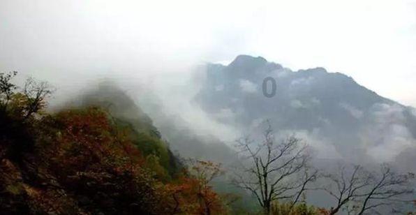 沪江开心词场