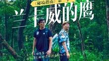 旋转螺旋塔