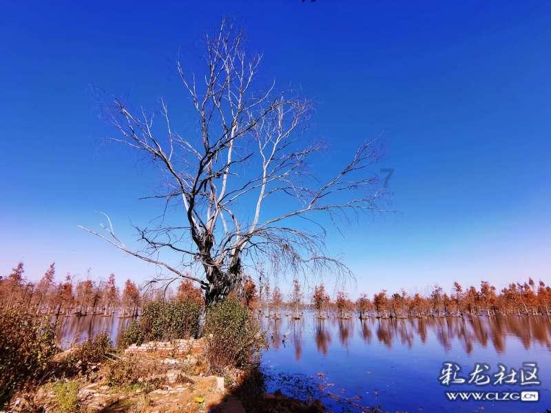 阴阳师