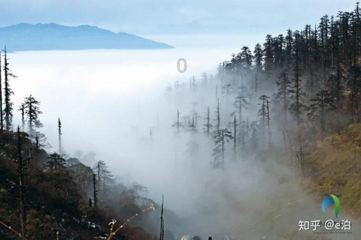 欢乐砸瓶子