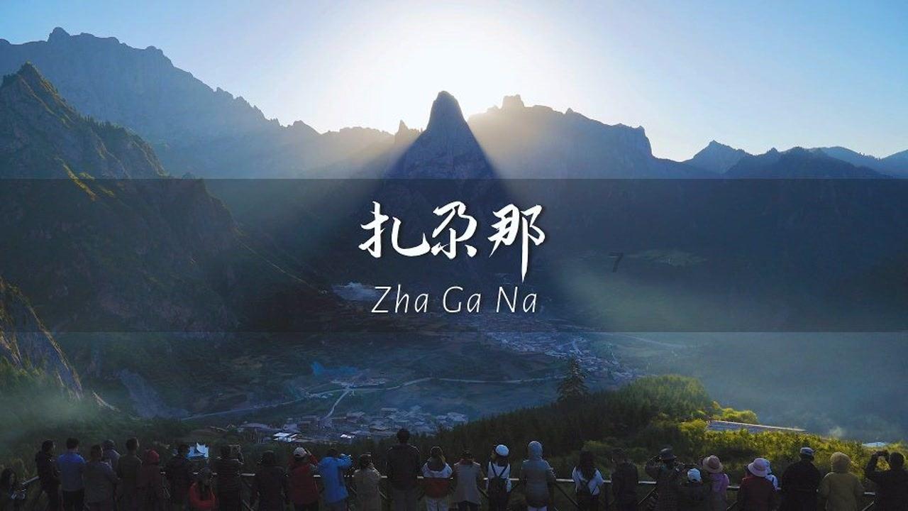 蜘蛛森林逃生