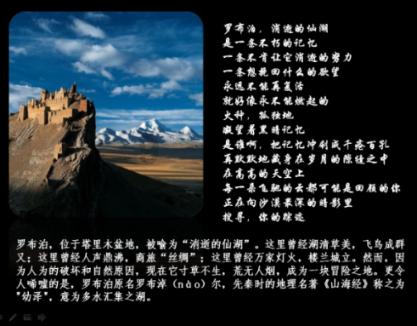 迷你忍者