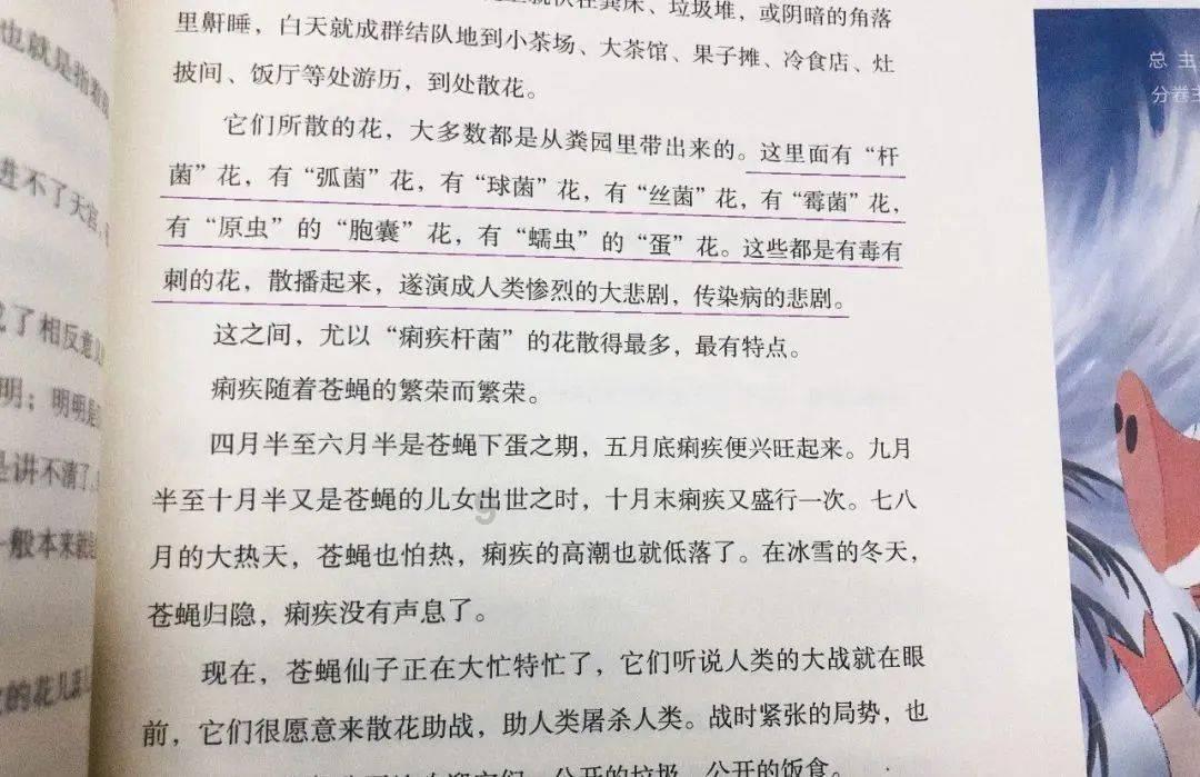 全国青少年手球冬令营（江西站）开营