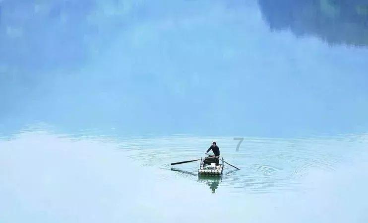一生都是少年随园散人《辛弃疾传 》