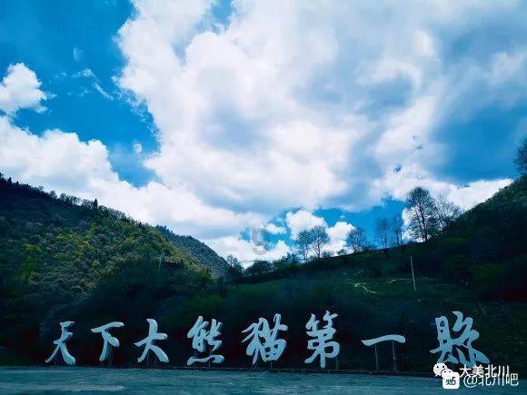妙鸭相机app下载官网