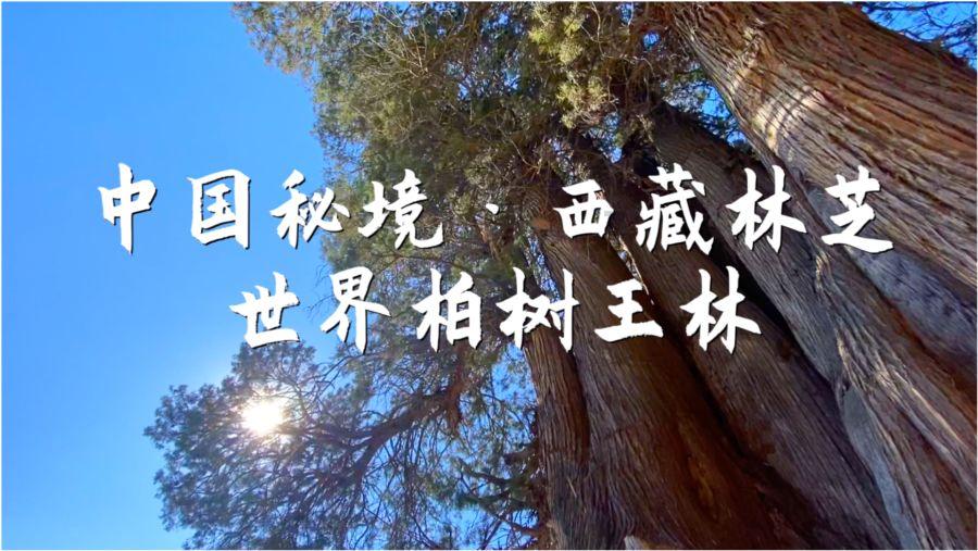 宿迁泗洪：多举措推动文化事业高质量发展