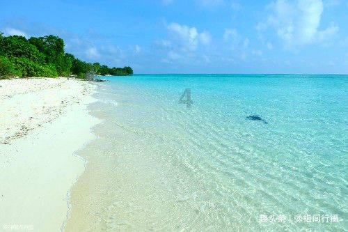运输旅客量或达490.5万人次