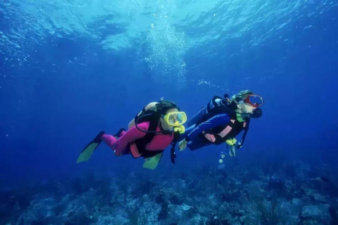 烫伤之后怎么处理比较好呢？游戏画面