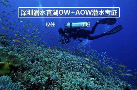 吴彦祖为老婆庆生，他们之间的感情如何？游戏画面