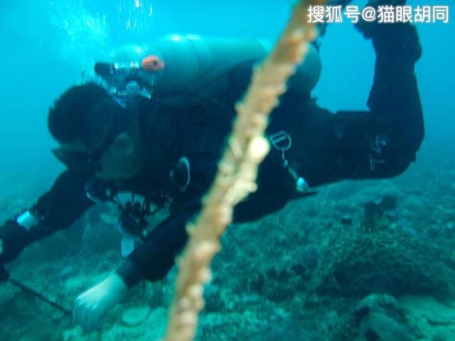 我们应该怎样合理的利用噪音?游戏画面