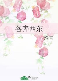 珠海鸿瑞：再闯北交所问题依旧，业绩下滑，财务数据多次更改真实性存疑