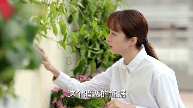 救援贪玩的大象