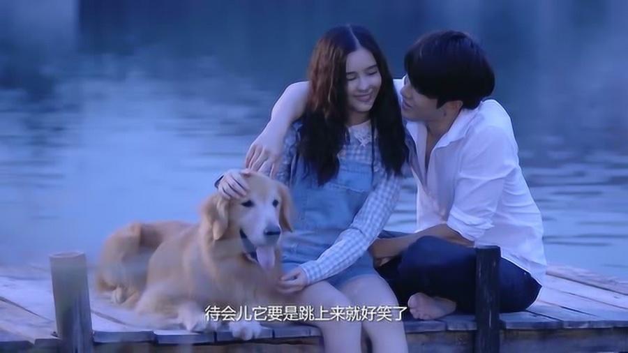 植物大战僵尸8