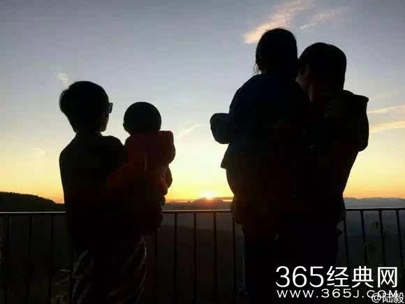 拯救精灵的土地8