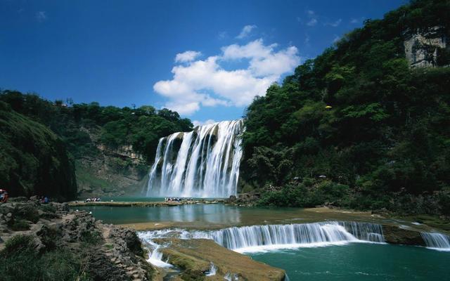 动物帮帮忙保卫家园