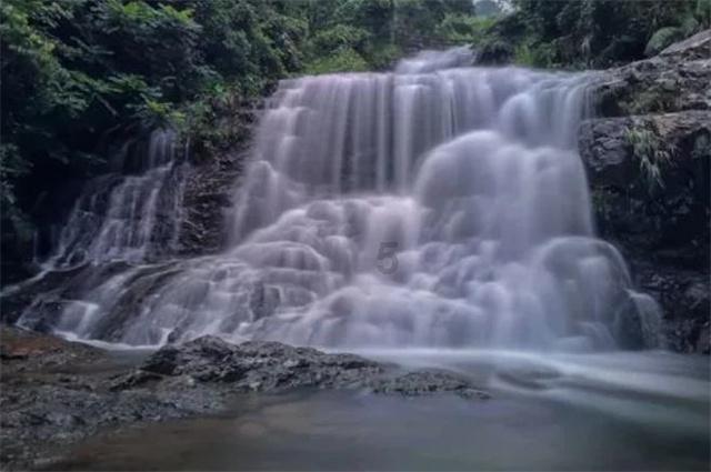 虫虫助手下载