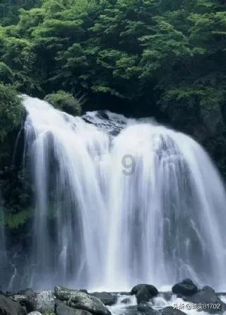 救援金发公主