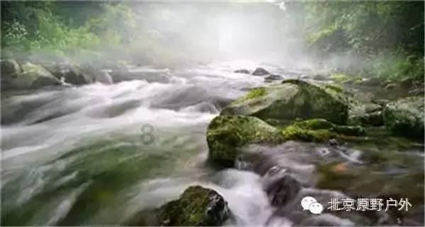 重磅！佩林卡赌把大的：湖人送出五筹码，篮网和老鹰均送出两筹码