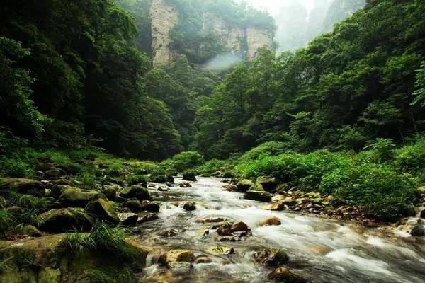 点对点,热饭菜送到老人家里