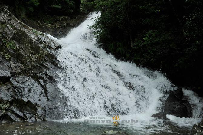 拯救小松鼠