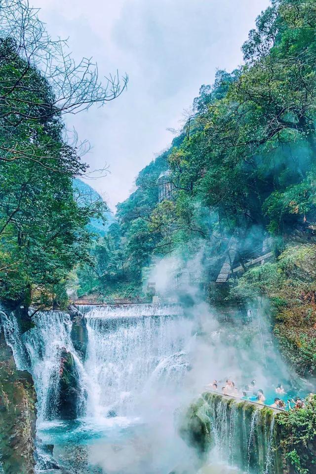虫虫助手下载