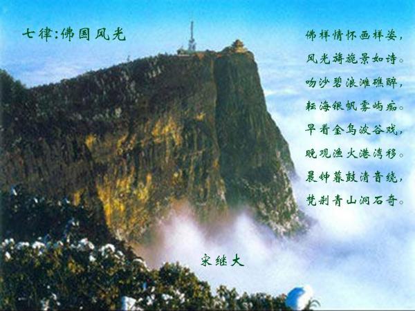 探索农村合作医疗与太平洋保险的关系?,加入知识星球平台