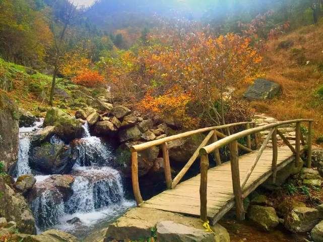 克林斯曼:一度落后但韩国下半场找回主动,2-2的结果勉强能接受
