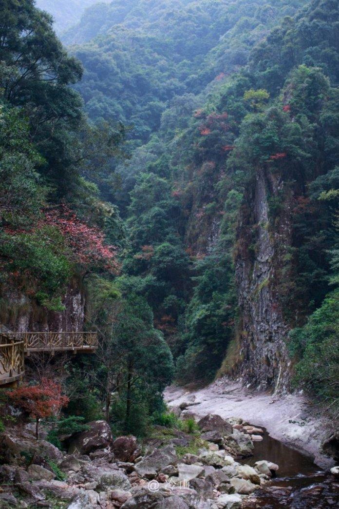 奥日与黑暗森林