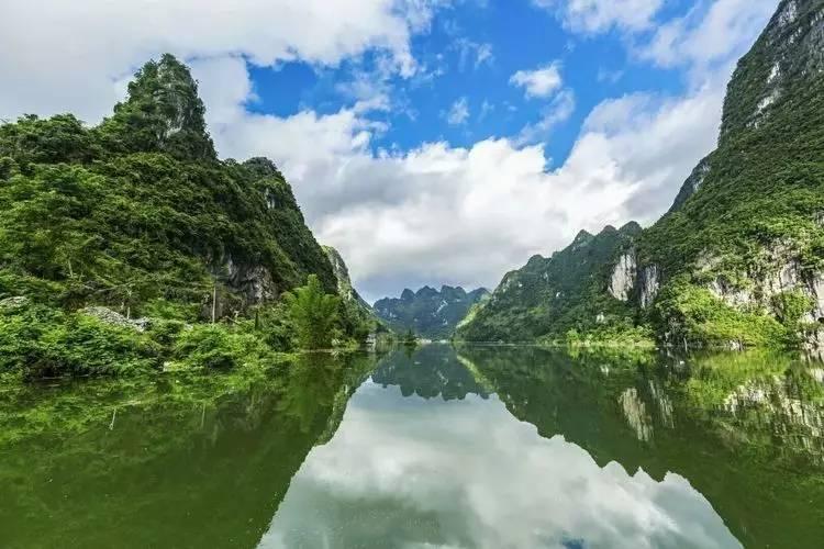 动物帮帮忙保卫家园