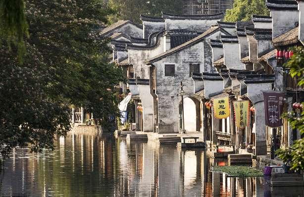 市政协科协界：以“美”为底 “协”力共绘精品村