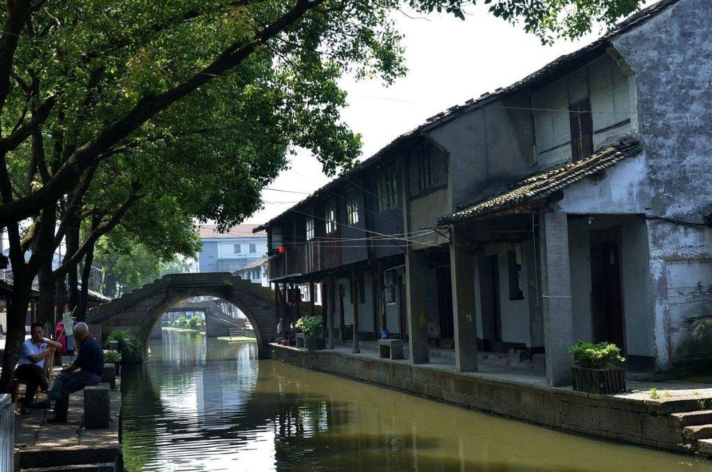加入怎么蒸饺子?星球,开启知识新旅程