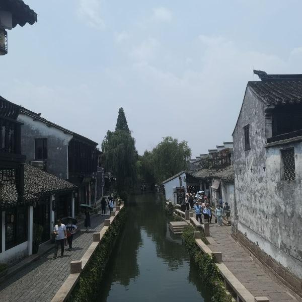 勿忘我