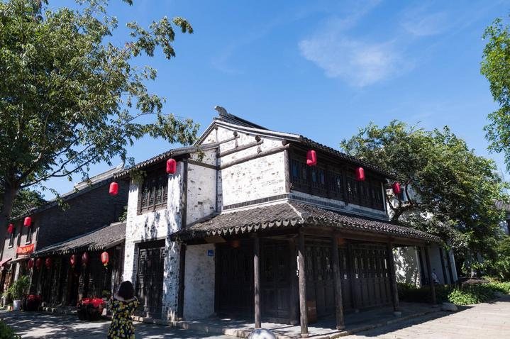 上海市少工委召开八届五次全体(扩大)会议