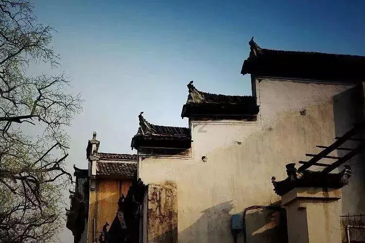 肤素科技 | 小寒,一岁最寒时,唯愿君安暖