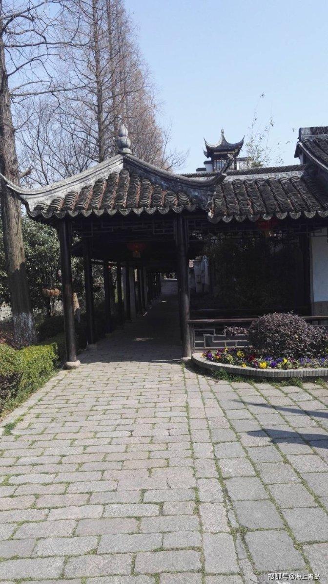 强大的狮子拼图