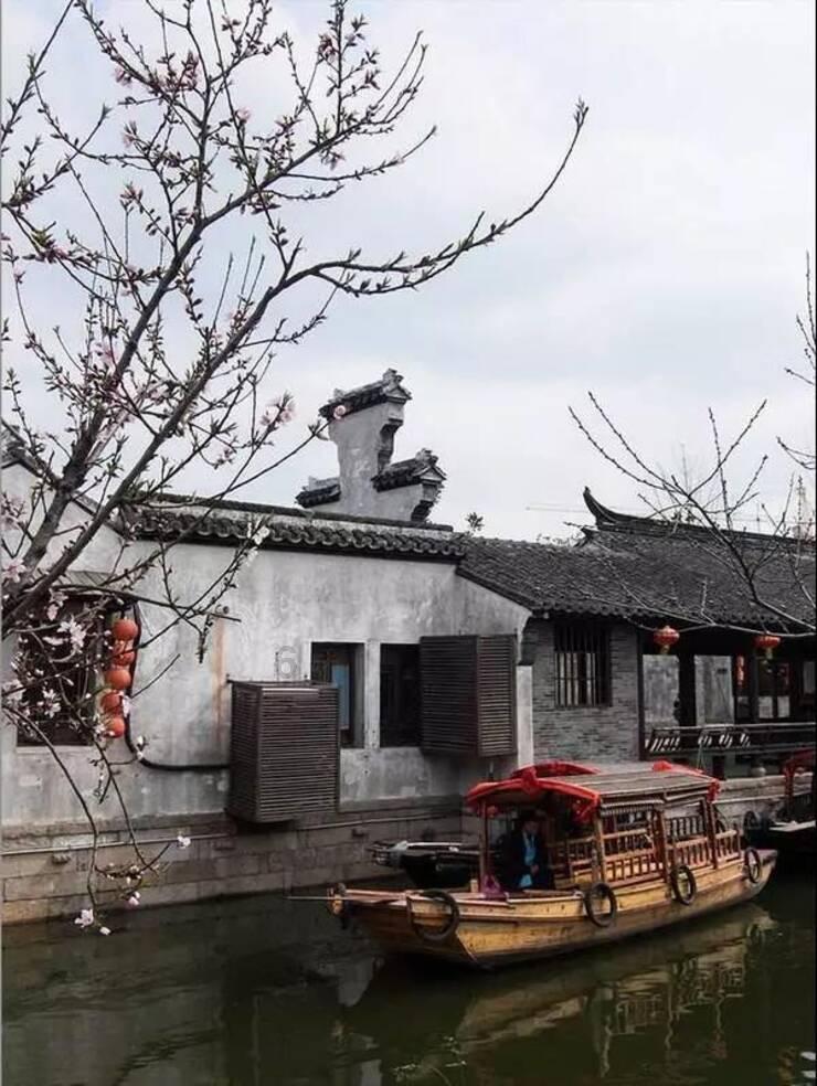 饥饿的松鼠救援
