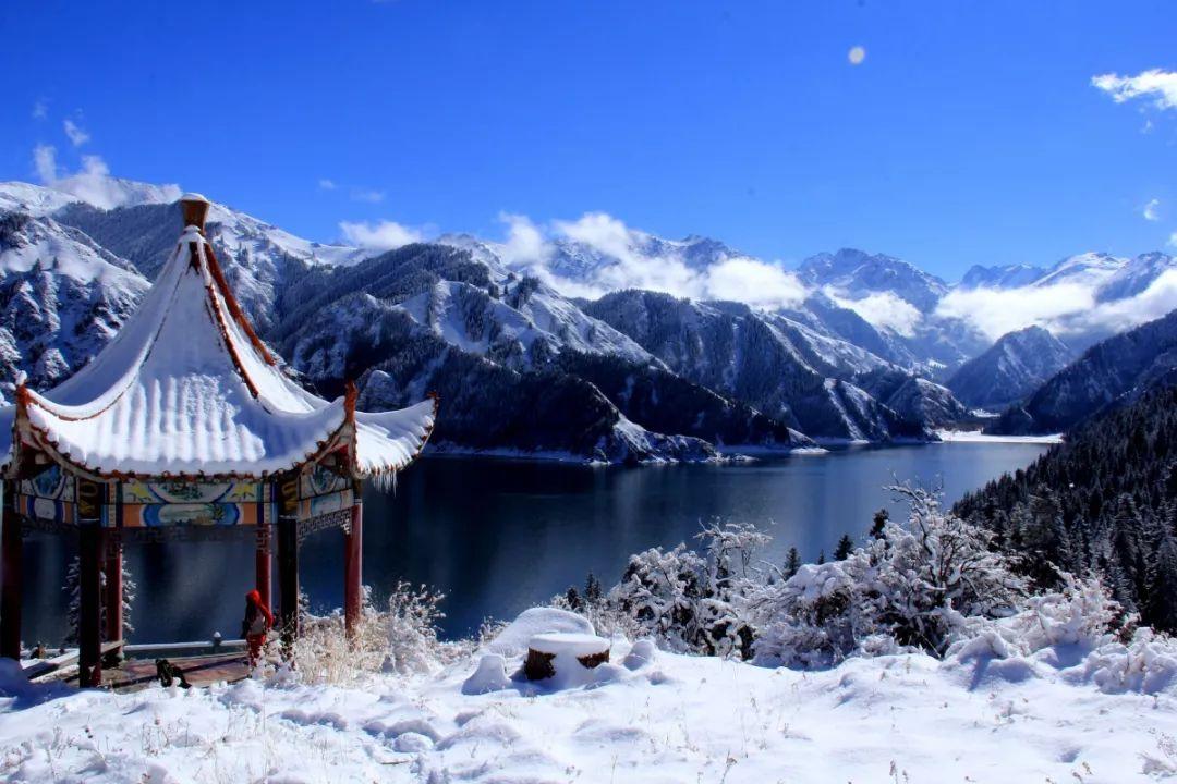 内战一触即发！得州和美国政府陷入武装对峙，特朗普下场喊话