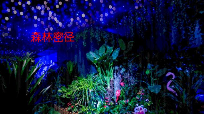 太美了!重庆金佛山绽放“冰花”,似千万只蝴蝶在草丛中飞舞
